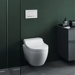 Geberit Sigma30 Dual Flush Plate - White/Gloss Chrome/White