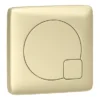 Arezzo Modern Brushed Brass Square Flush Plate - 70 X 70mm -Bathroom Accessories azsqbb n l
