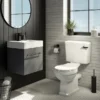Cruze Black Modern Cistern Lever -Bathroom Accessories me9140bld2
