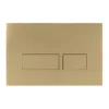 Crosswater MPRO Brushed Brass Dual Flush Plate