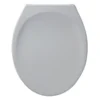 Armitage Shanks Astra Top Fixing Toilet Seat & Cover -Bathroom Accessories s405001 l