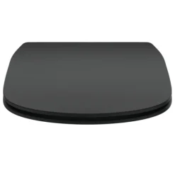 Ideal Standard Tesi Silk Black Soft Close Thin Toilet Seat & Cover -Bathroom Accessories t3527v3 d1